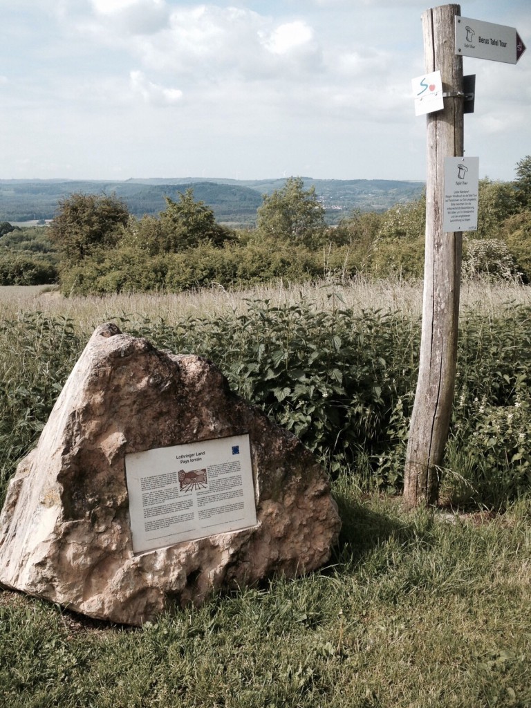 Blick nach Lothringen 